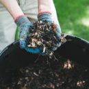 buy compost bin