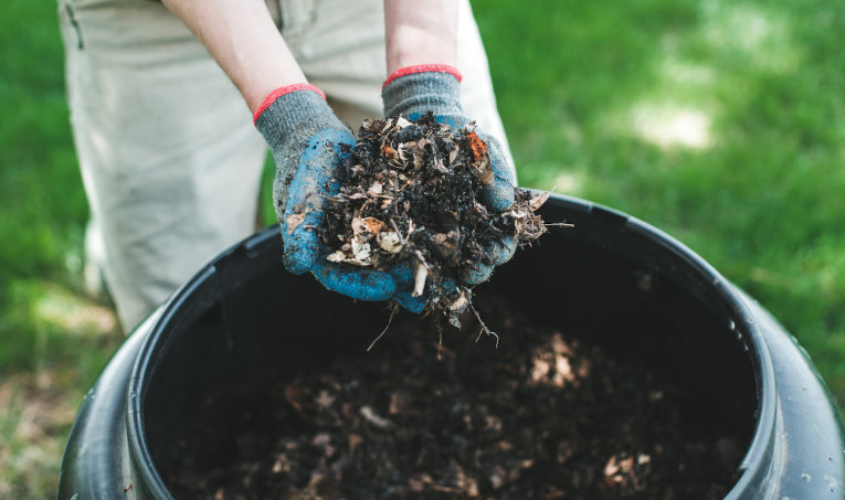 Why should you buy compost bin Singapore?