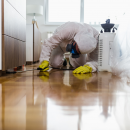 termites treatment brisbane