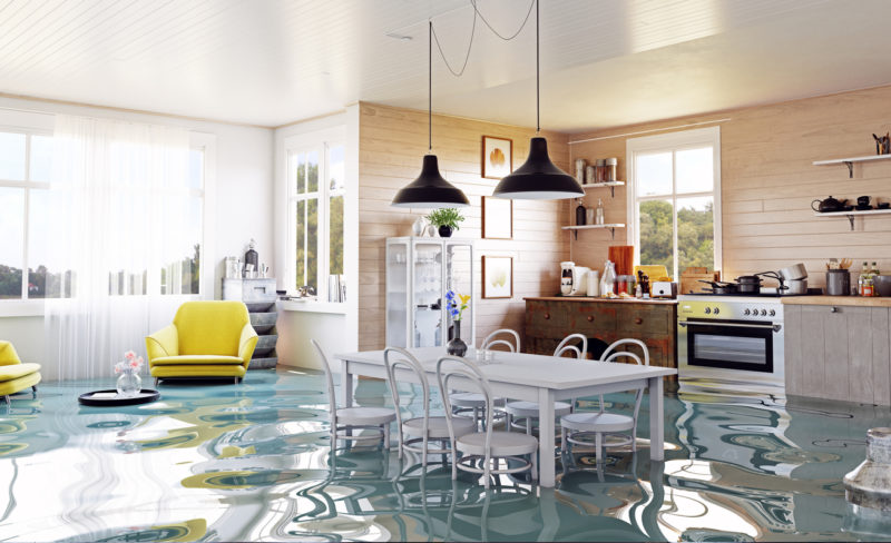 Water Damage Strikes: 5 Must-Know Steps for a Swift and Successful Cleanup