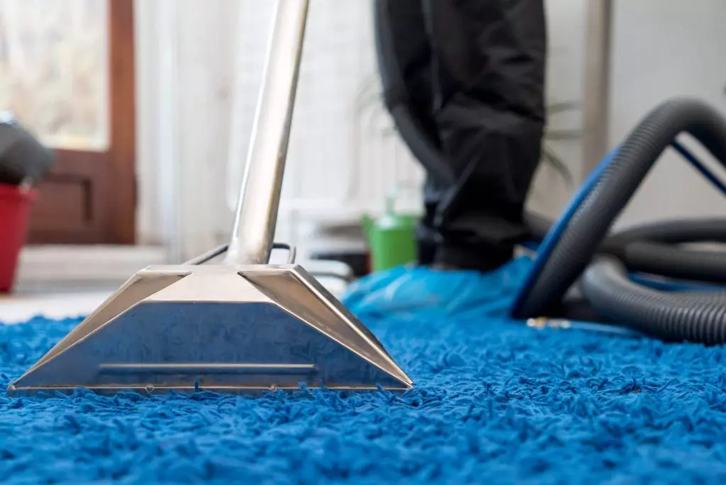 Understanding the Importance of Regular Carpet Maintenance for Health